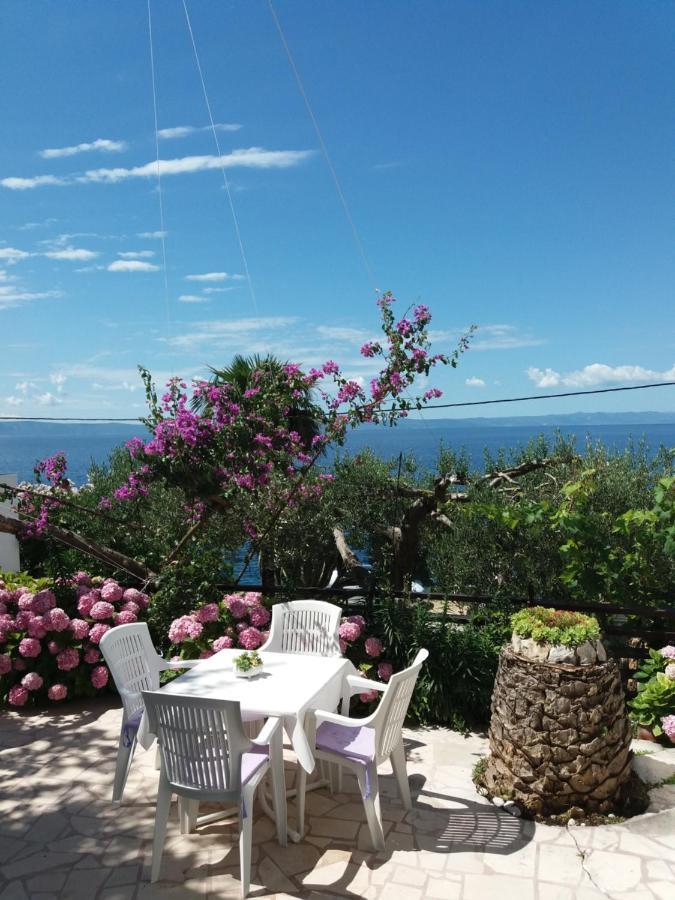 Apartment Hortenzija Baška Voda Buitenkant foto