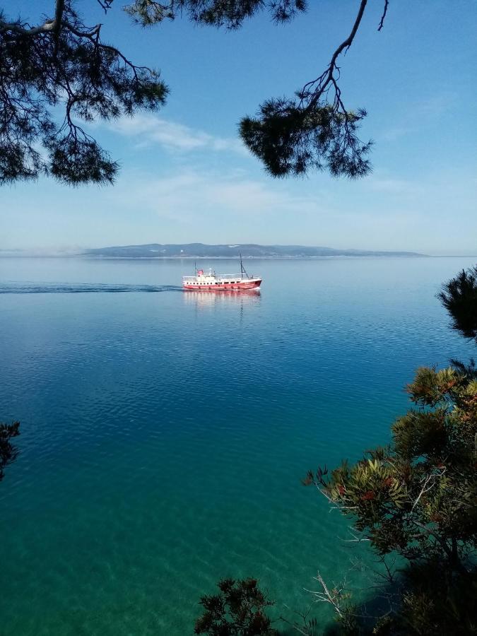 Apartment Hortenzija Baška Voda Buitenkant foto