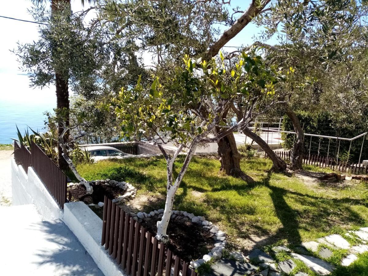 Apartment Hortenzija Baška Voda Buitenkant foto