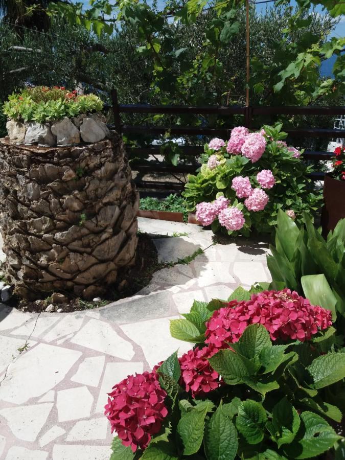 Apartment Hortenzija Baška Voda Buitenkant foto